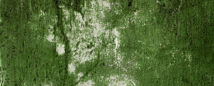 Pattern preview